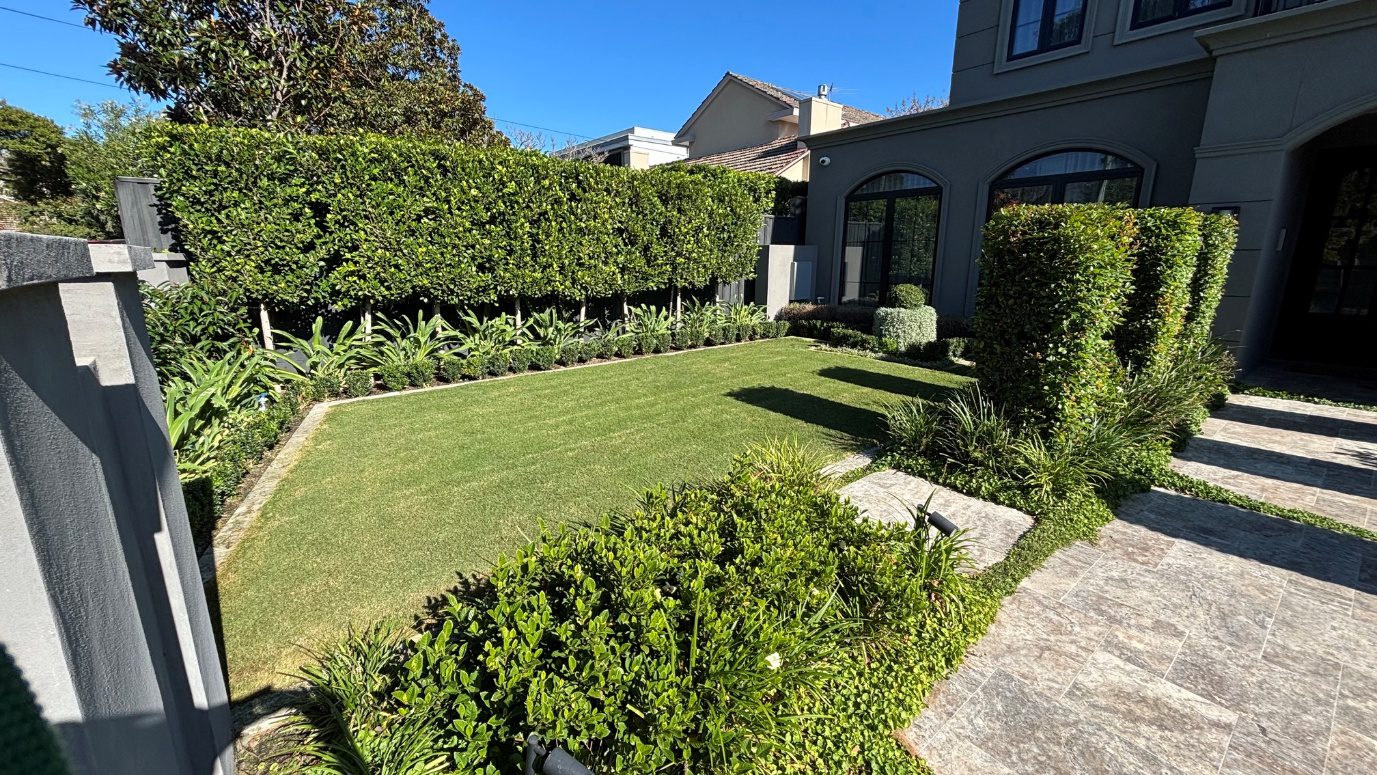 Manicured front lawn with hedges and pathway