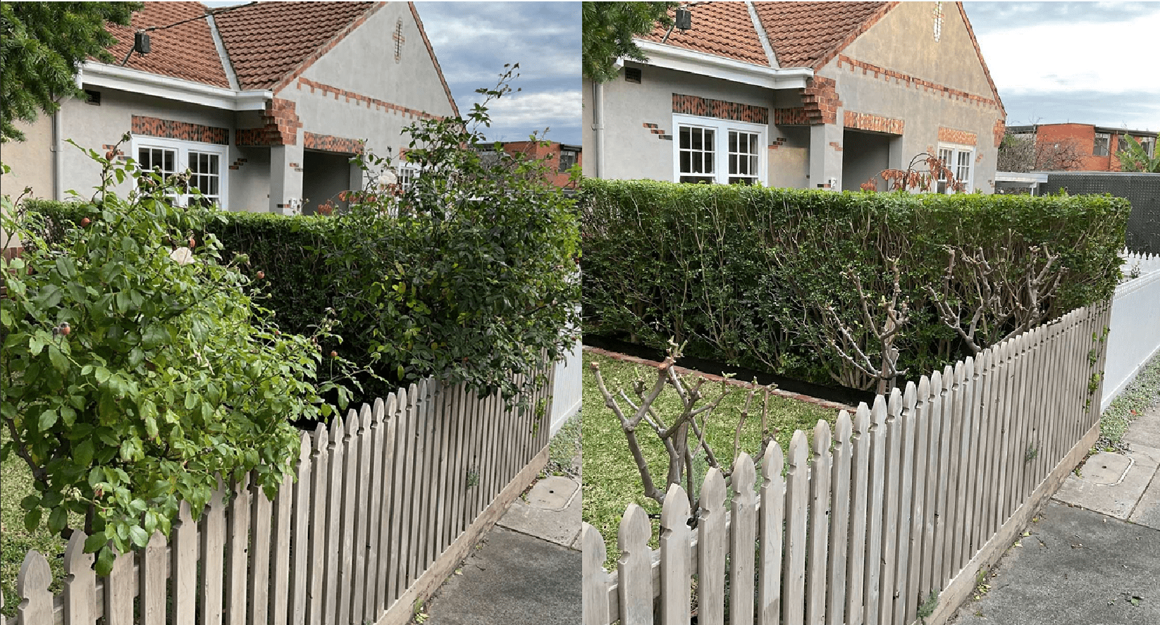 Suburban house with hedge and picket fence