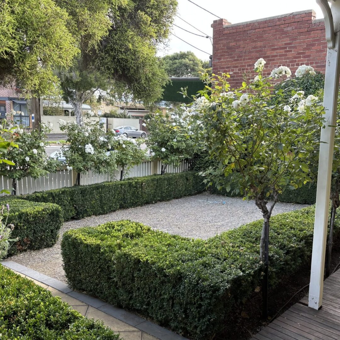 Formal front garden with box hedges and roses