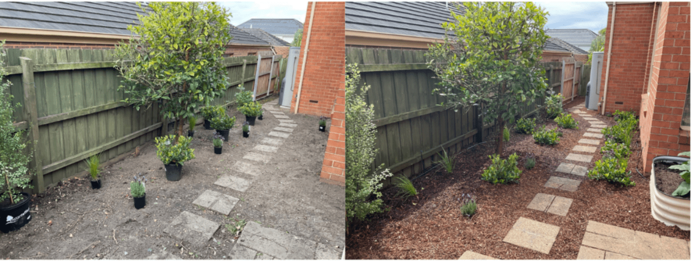 Side yard before-and-after mulch and plant makeover